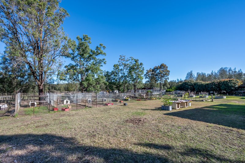 Photo - Singleton NSW 2330 - Image 12