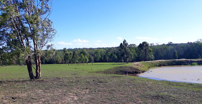 Photo - Singleton NSW 2330 - Image 21