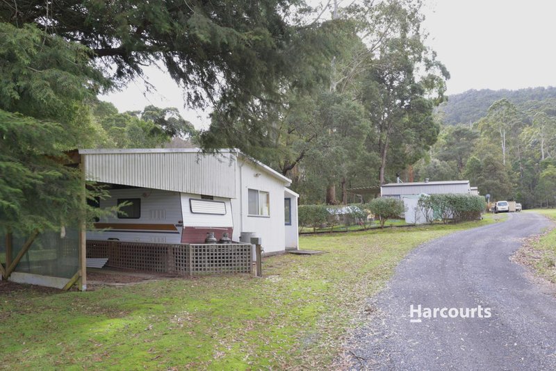 Photo - Site 28 Wings Wildlife Park, Winduss Road, Gunns Plains TAS 7315 - Image 3