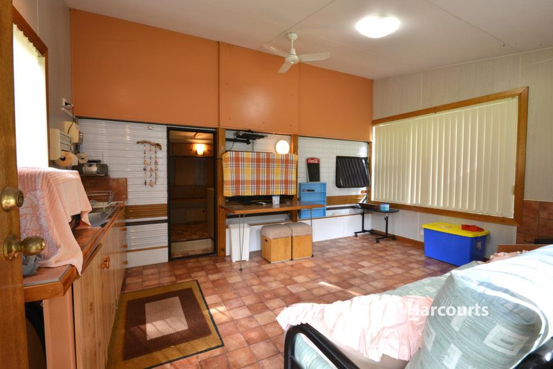 Photo - Site 28 Wings Wildlife Park, Winduss Road, Gunns Plains TAS 7315 - Image 5