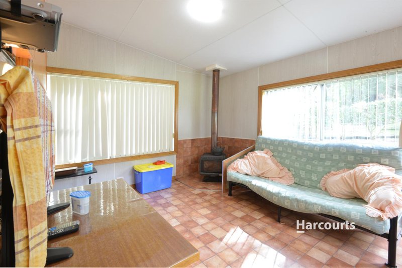 Photo - Site 28 Wings Wildlife Park, Winduss Road, Gunns Plains TAS 7315 - Image 6