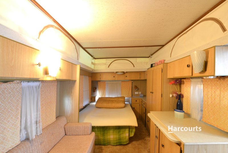 Photo - Site 28 Wings Wildlife Park, Winduss Road, Gunns Plains TAS 7315 - Image 8