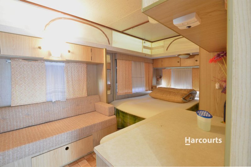 Photo - Site 28 Wings Wildlife Park, Winduss Road, Gunns Plains TAS 7315 - Image 10