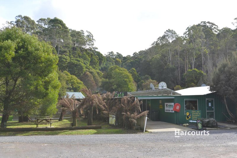 Photo - Site 28 Wings Wildlife Park, Winduss Road, Gunns Plains TAS 7315 - Image 12