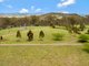 Photo - " Sixpack " , Mount Rascal QLD 4350 - Image 10