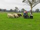 Photo - 'Smithfield', 266 Gooda Creek Road, Murrumbateman NSW 2582 - Image 2