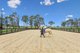 Photo - 'Smithfield', 266 Gooda Creek Road, Murrumbateman NSW 2582 - Image 3