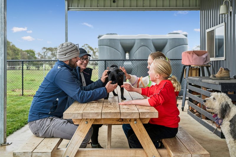Photo - 'Smithfield', 266 Gooda Creek Road, Murrumbateman NSW 2582 - Image 5