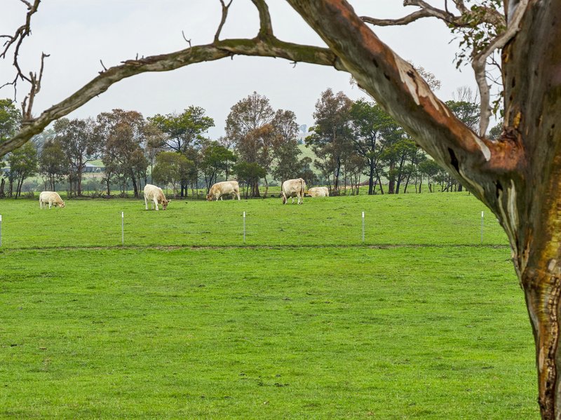 Photo - 'Smithfield', 266 Gooda Creek Road, Murrumbateman NSW 2582 - Image 18