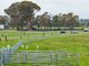 Photo - 'Smithfield', 266 Gooda Creek Road, Murrumbateman NSW 2582 - Image 24