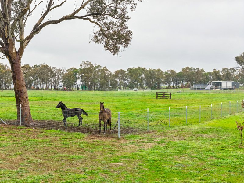 Photo - 'Smithfield', 266 Gooda Creek Road, Murrumbateman NSW 2582 - Image 25