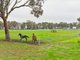 Photo - 'Smithfield', 266 Gooda Creek Road, Murrumbateman NSW 2582 - Image 25