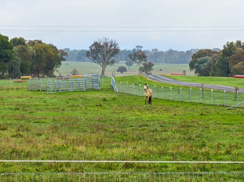 Photo - 'Smithfield', 266 Gooda Creek Road, Murrumbateman NSW 2582 - Image 26