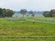 Photo - 'Smithfield', 266 Gooda Creek Road, Murrumbateman NSW 2582 - Image 26