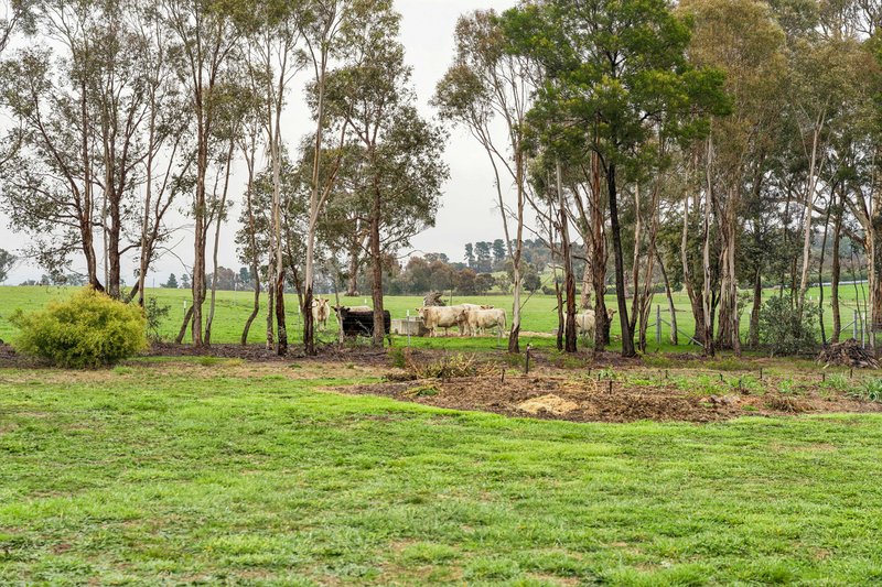 Photo - 'Smithfield', 266 Gooda Creek Road, Murrumbateman NSW 2582 - Image 31