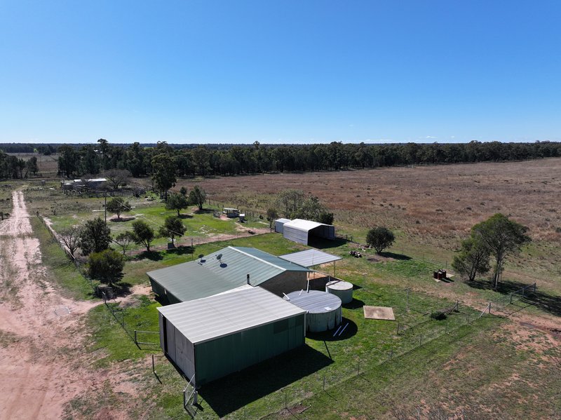 Photo - 'Sonora Park' 50R Hains Road, Eumungerie NSW 2822 - Image 2