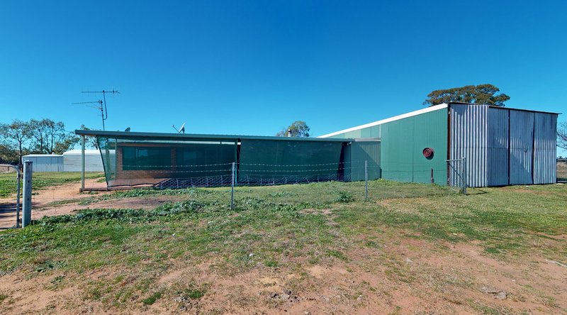 Photo - 'Sonora Park' 50R Hains Road, Eumungerie NSW 2822 - Image 3