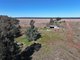 Photo - 'Sonora Park' 50R Hains Road, Eumungerie NSW 2822 - Image 12