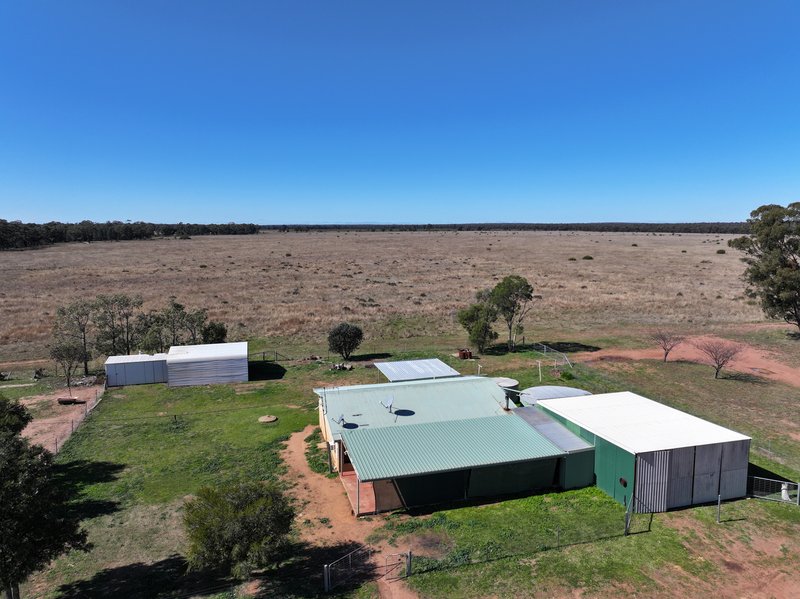 Photo - 'Sonora Park' 50R Hains Road, Eumungerie NSW 2822 - Image 20