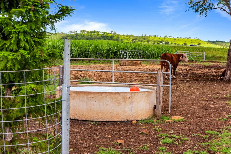 Photo - "South Glen" Cnr Cronin Road & Stoneleigh Road, Linthorpe QLD 4356 - Image 3