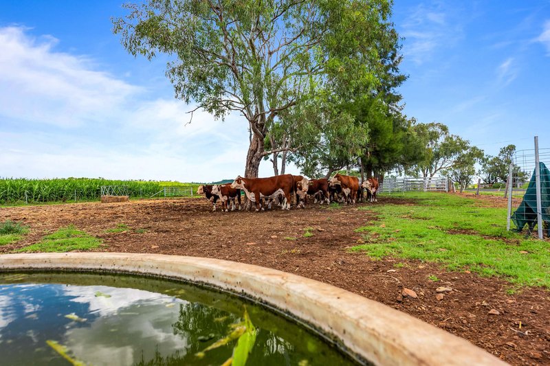 Photo - "South Glen" Cnr Cronin Road & Stoneleigh Road, Linthorpe QLD 4356 - Image 7