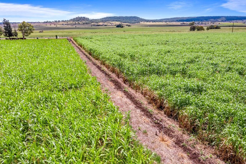 Photo - "South Glen" Cnr Cronin Road & Stoneleigh Road, Linthorpe QLD 4356 - Image 18