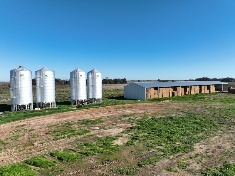 Photo - " SOUTH YALOKE" Wakool Road, Deniliquin NSW 2710 - Image 3
