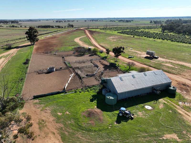 Photo - " SOUTH YALOKE" Wakool Road, Deniliquin NSW 2710 - Image 8