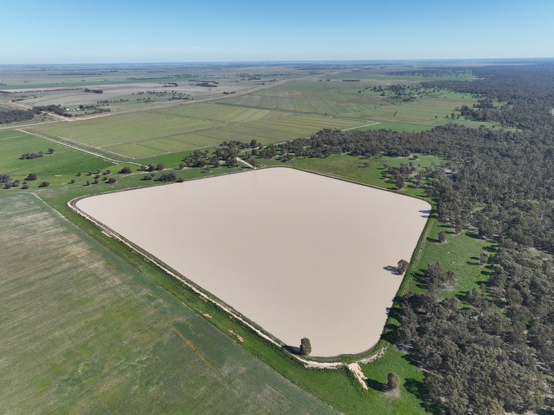 Photo - " SOUTH YALOKE" Wakool Road, Deniliquin NSW 2710 - Image 9