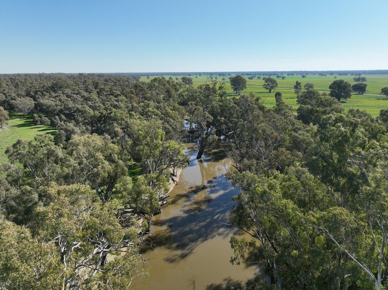 Photo - " SOUTH YALOKE" Wakool Road, Deniliquin NSW 2710 - Image 11