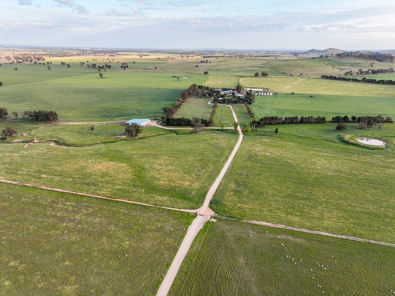 'Spring Creek' Old Cootamundra Road, Cootamundra NSW 2590