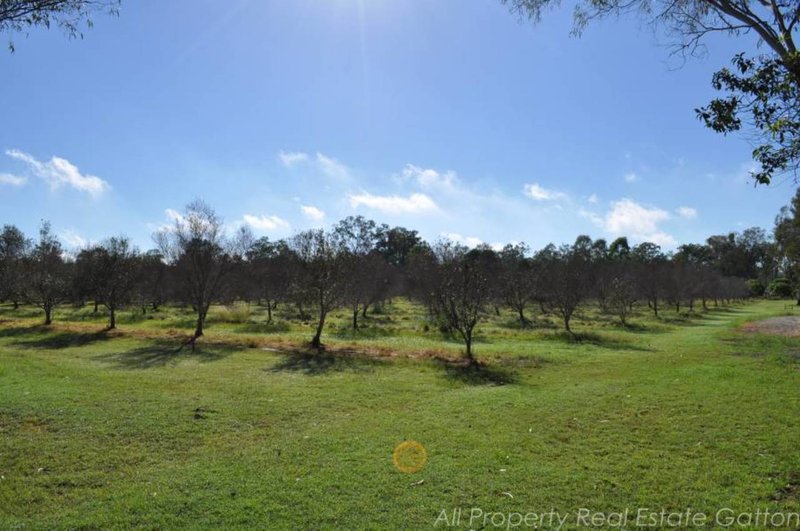 Photo - Spring Creek QLD 4343 - Image 9