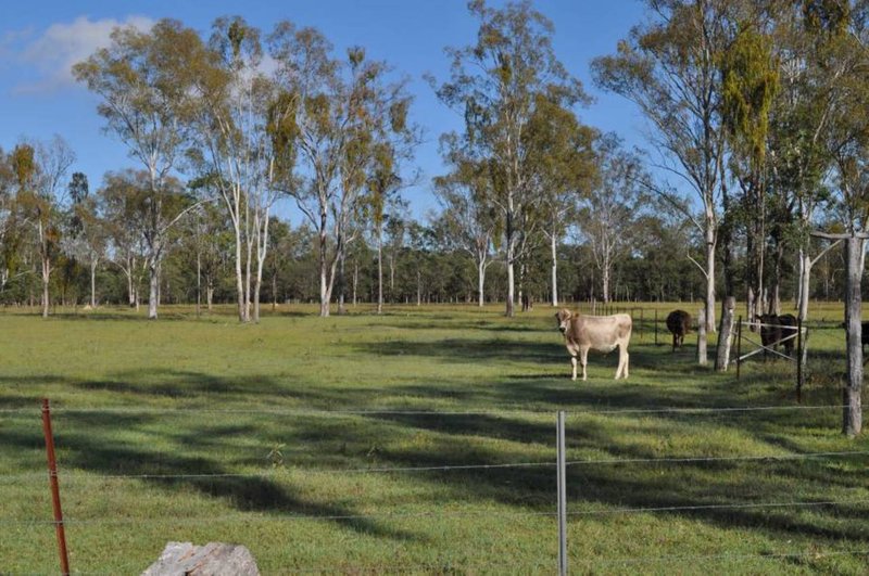 Photo - Spring Creek QLD 4343 - Image 10