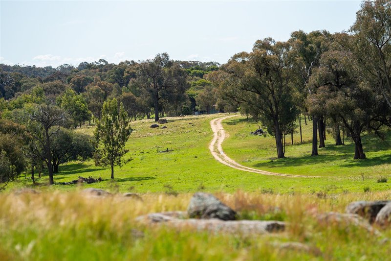 Photo - Springardo Sanderson Road, Springhurst VIC 3682 - Image 3