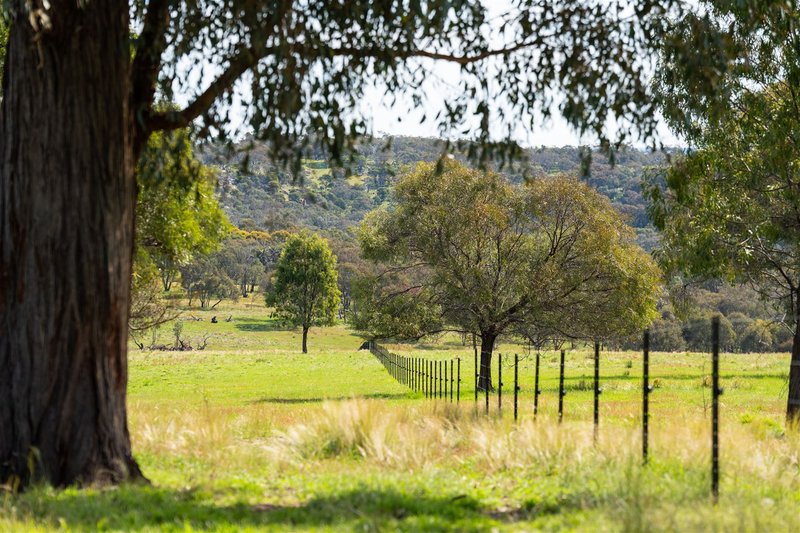 Photo - Springardo Sanderson Road, Springhurst VIC 3682 - Image 8