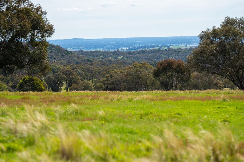 Photo - Springardo Sanderson Road, Springhurst VIC 3682 - Image 10