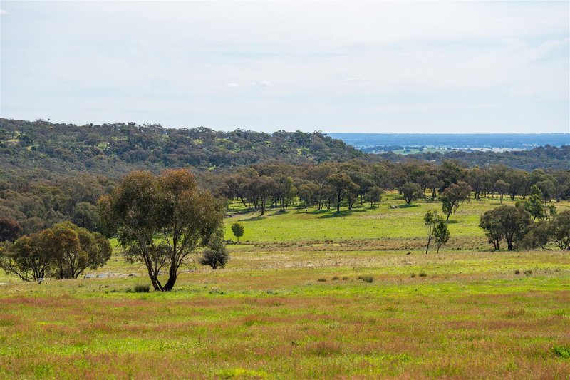 Photo - Springardo Sanderson Road, Springhurst VIC 3682 - Image 23