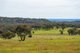 Photo - Springardo Sanderson Road, Springhurst VIC 3682 - Image 23