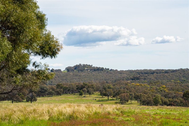 Photo - Springardo Sanderson Road, Springhurst VIC 3682 - Image 24