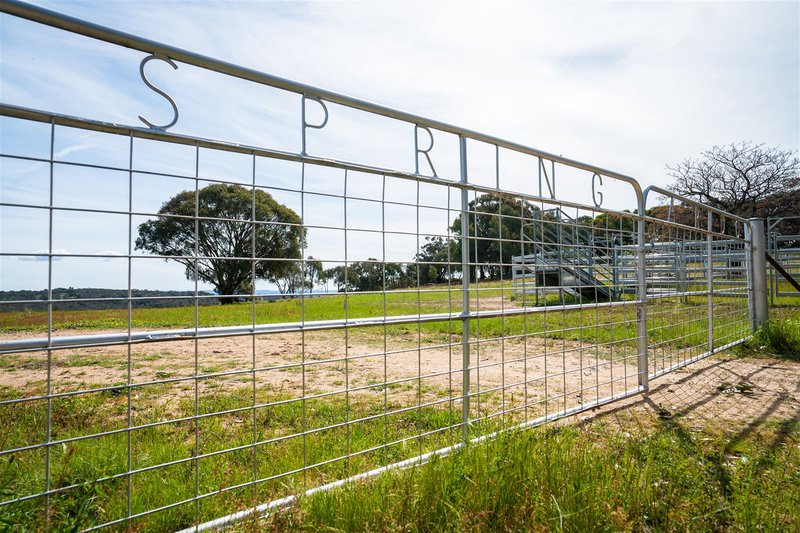 Photo - Springardo Sanderson Road, Springhurst VIC 3682 - Image 26