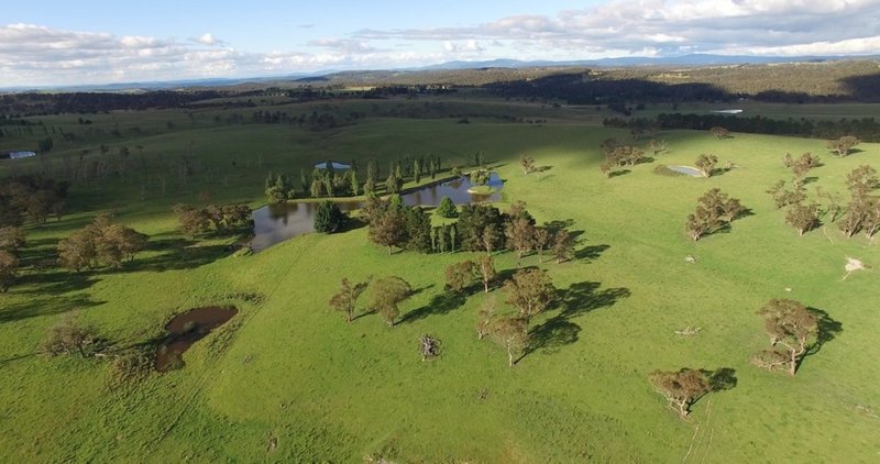 Springdale 2836 Wongwibinda Road, Guyra NSW 2365