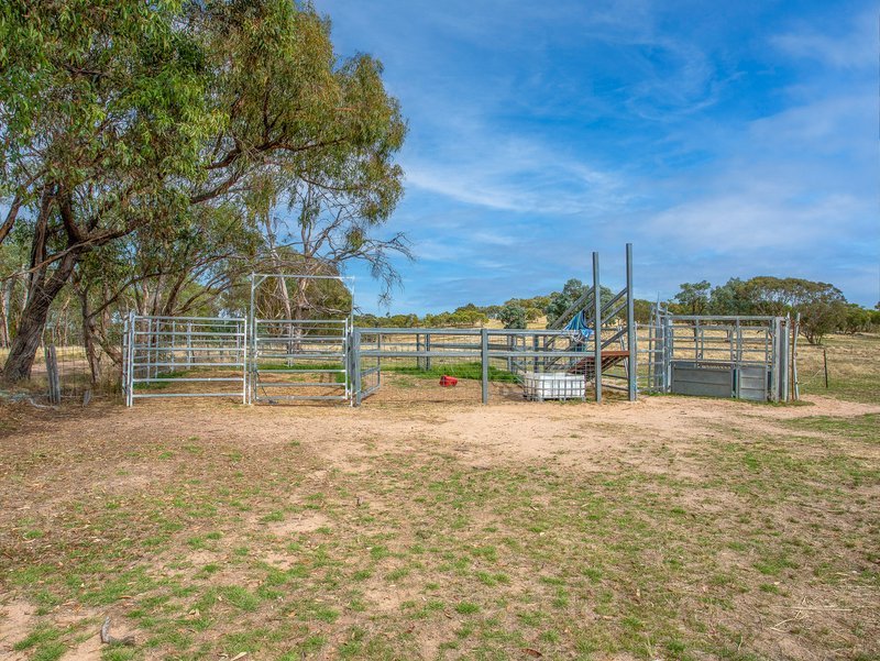 Photo - Springhurst VIC 3682 - Image 12