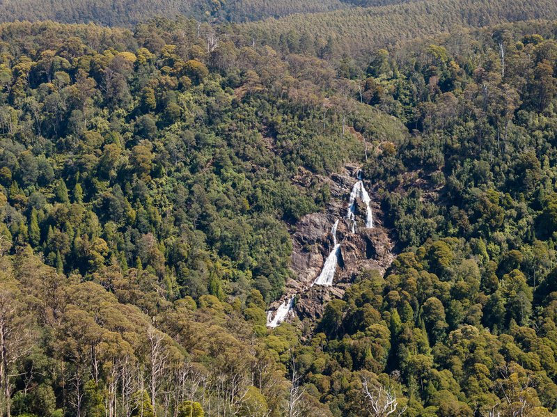 Photo - . St Columba Falls Road, Pyengana TAS 7216 - Image 5