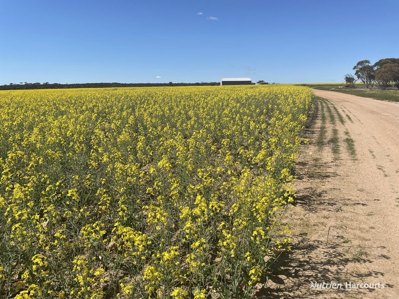 Photo - . Stent Road, Pingaring WA 6357 - Image 6