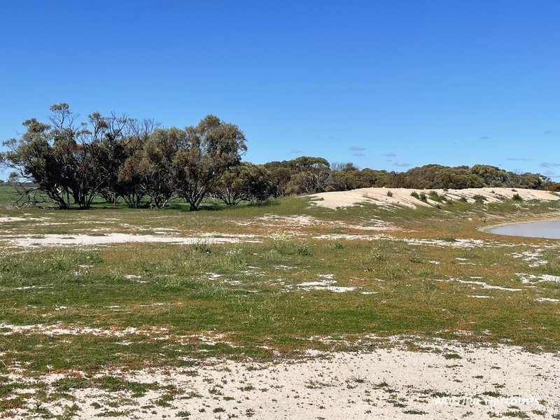 Photo - . Stent Road, Pingaring WA 6357 - Image 14