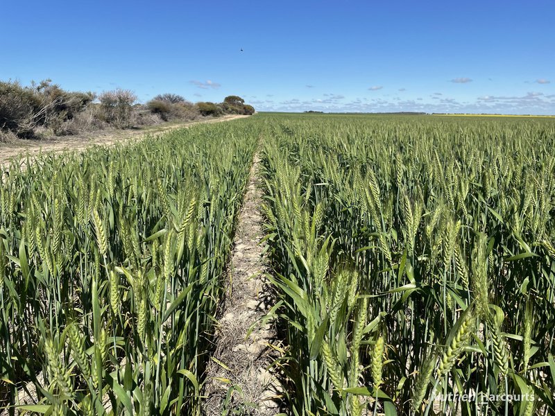 Photo - . Stent Road, Pingaring WA 6357 - Image 17