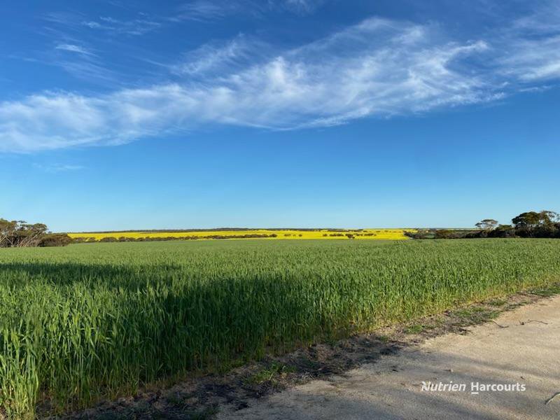 . Stent Road, Pingaring WA 6357