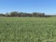 Photo - . Stent Road, Pingaring WA 6357 - Image 12