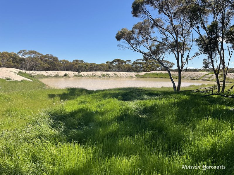 Photo - . Stent Road, Pingaring WA 6357 - Image 19