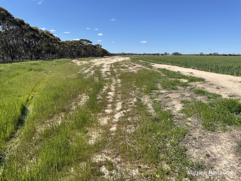 Photo - . Stent Road, Pingaring WA 6357 - Image 20